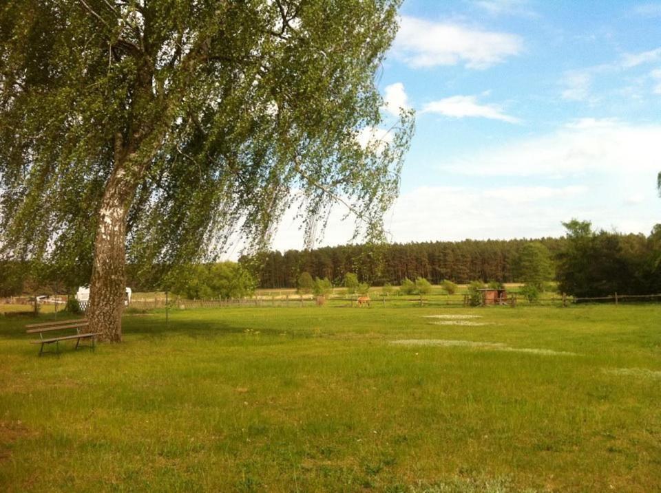 Landhotel Am Peetscher See Mirow Kültér fotó